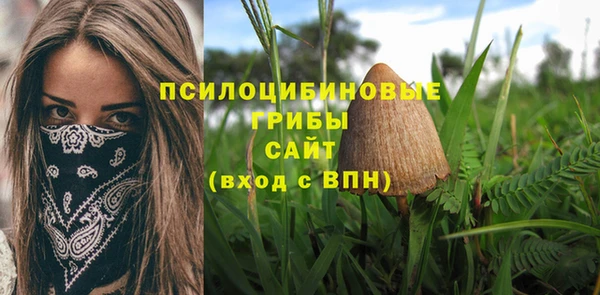 амф Абаза