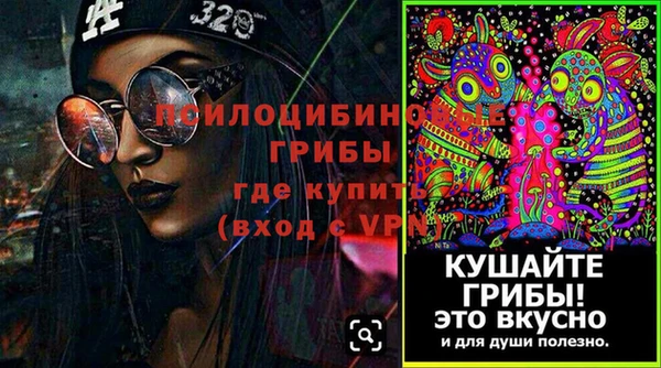 PSILOCYBIN Осташков
